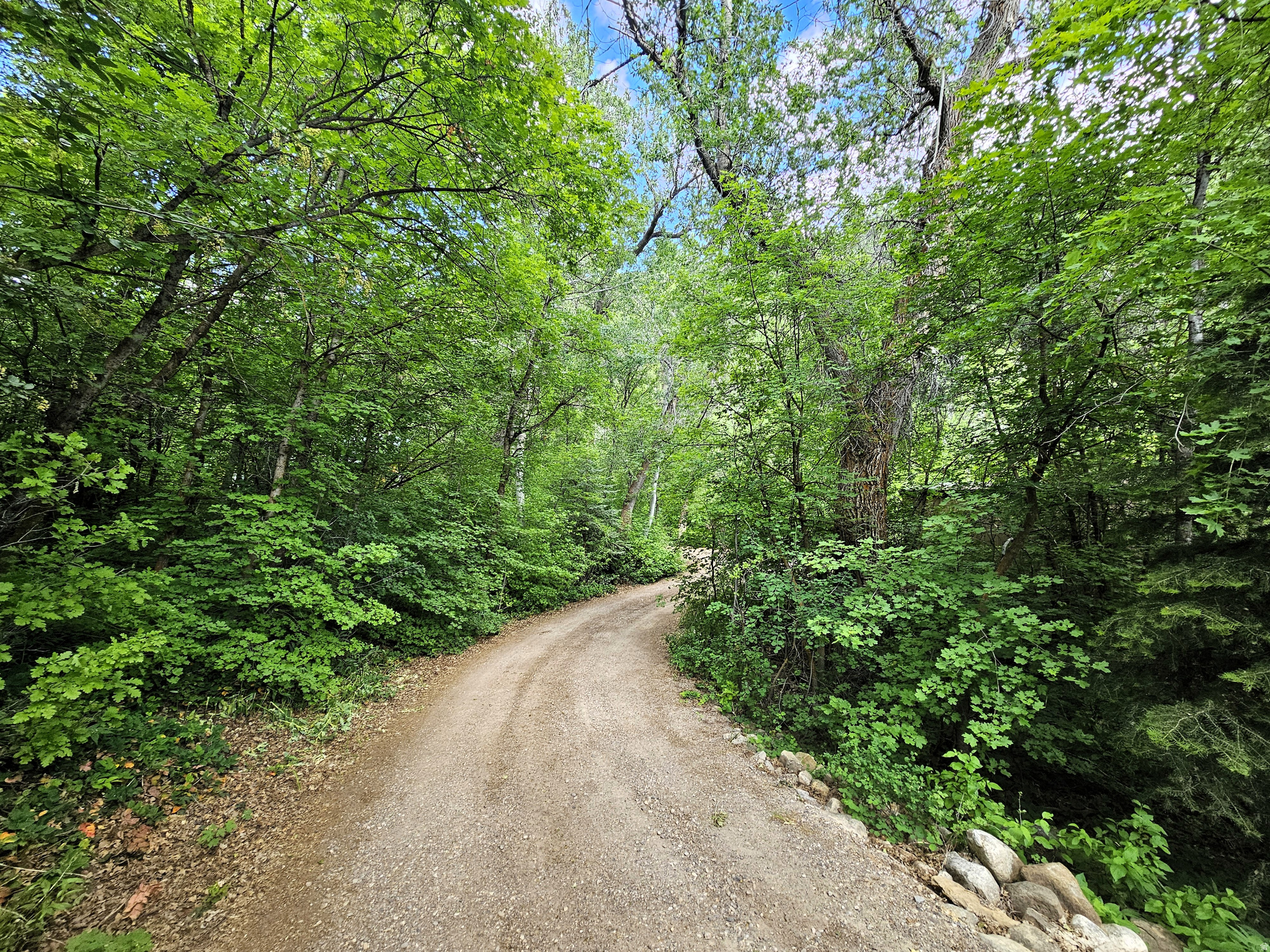SKYLINE MOUNTAIN RESORT - Residential