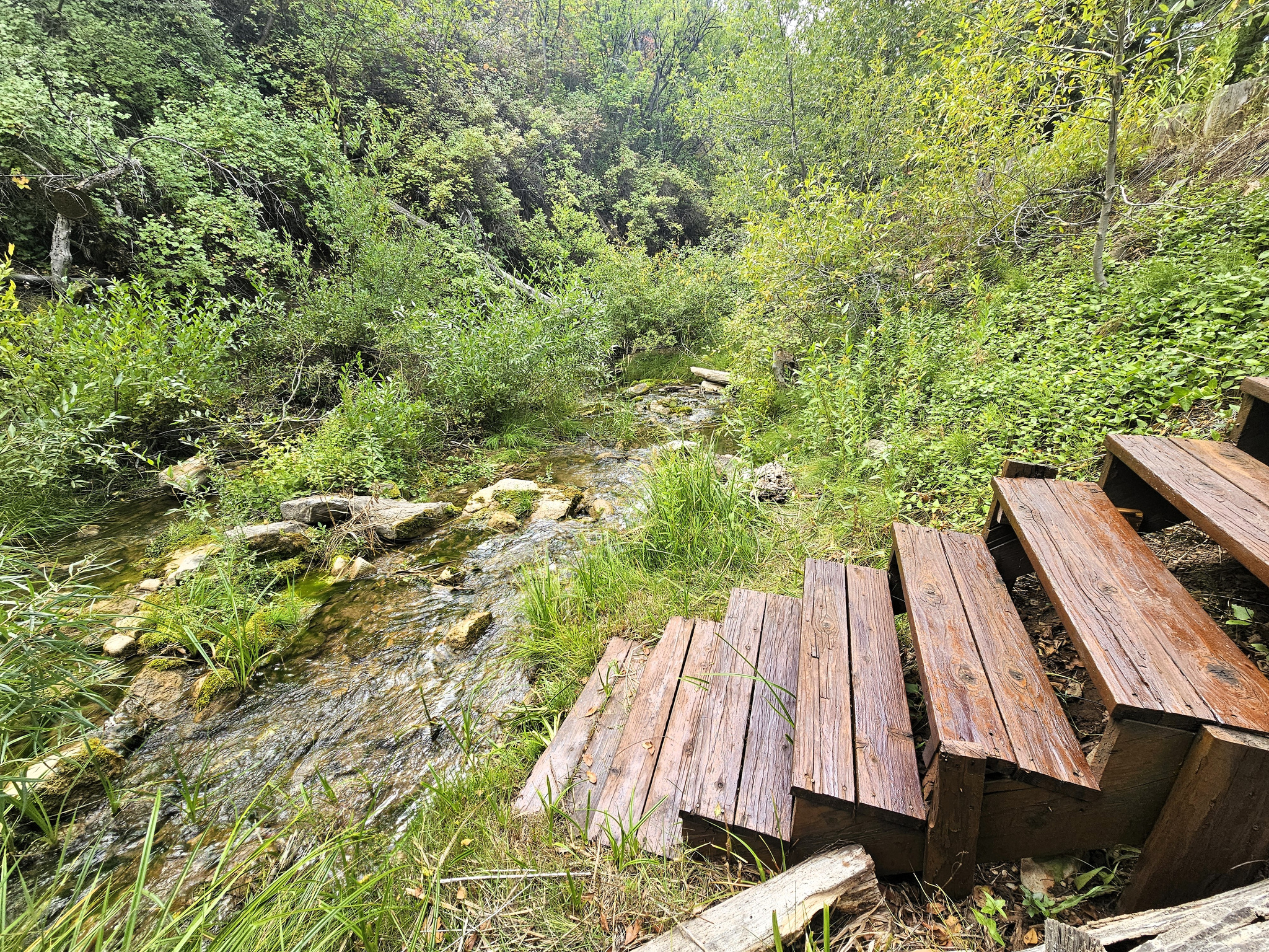 SKYLINE MOUNTAIN RESORT - Residential