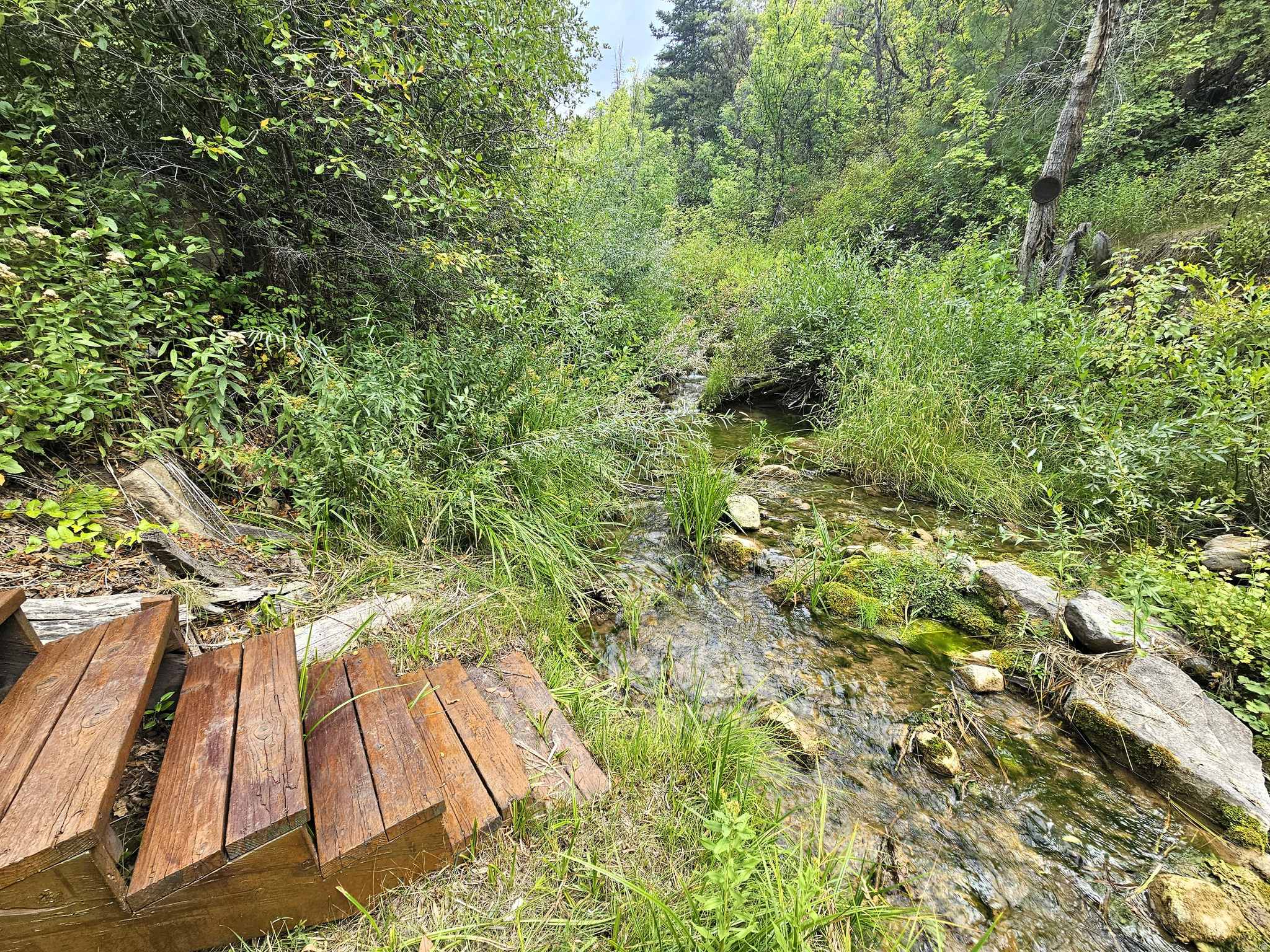 SKYLINE MOUNTAIN RESORT - Residential