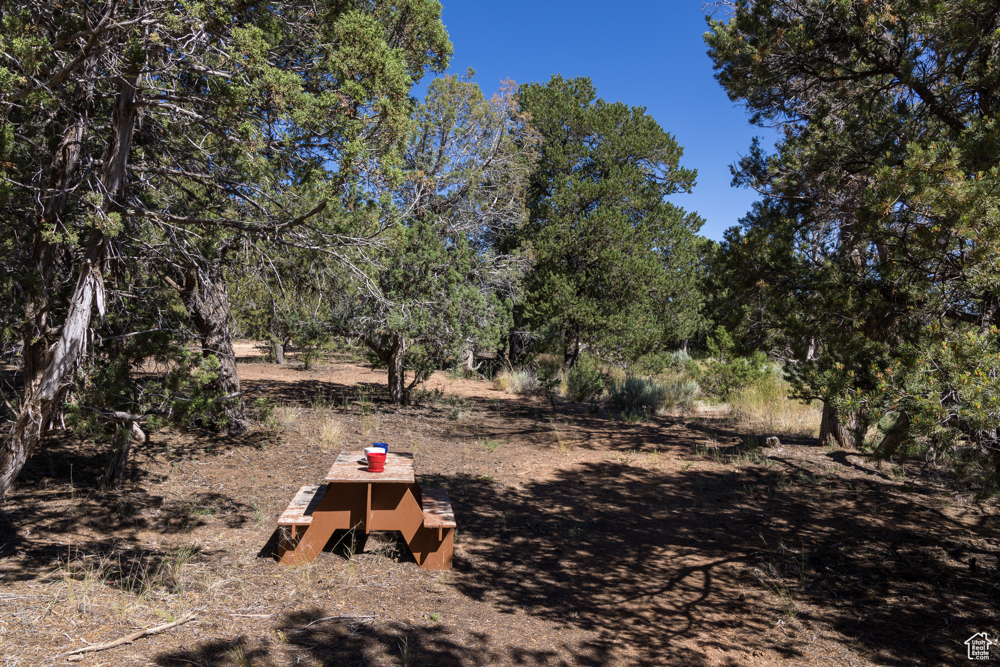 ELK MEADOWS - Residential