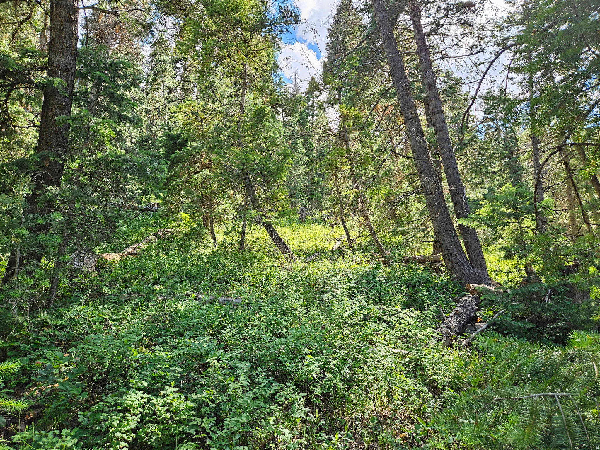 PINE CREEK ACRES - Land