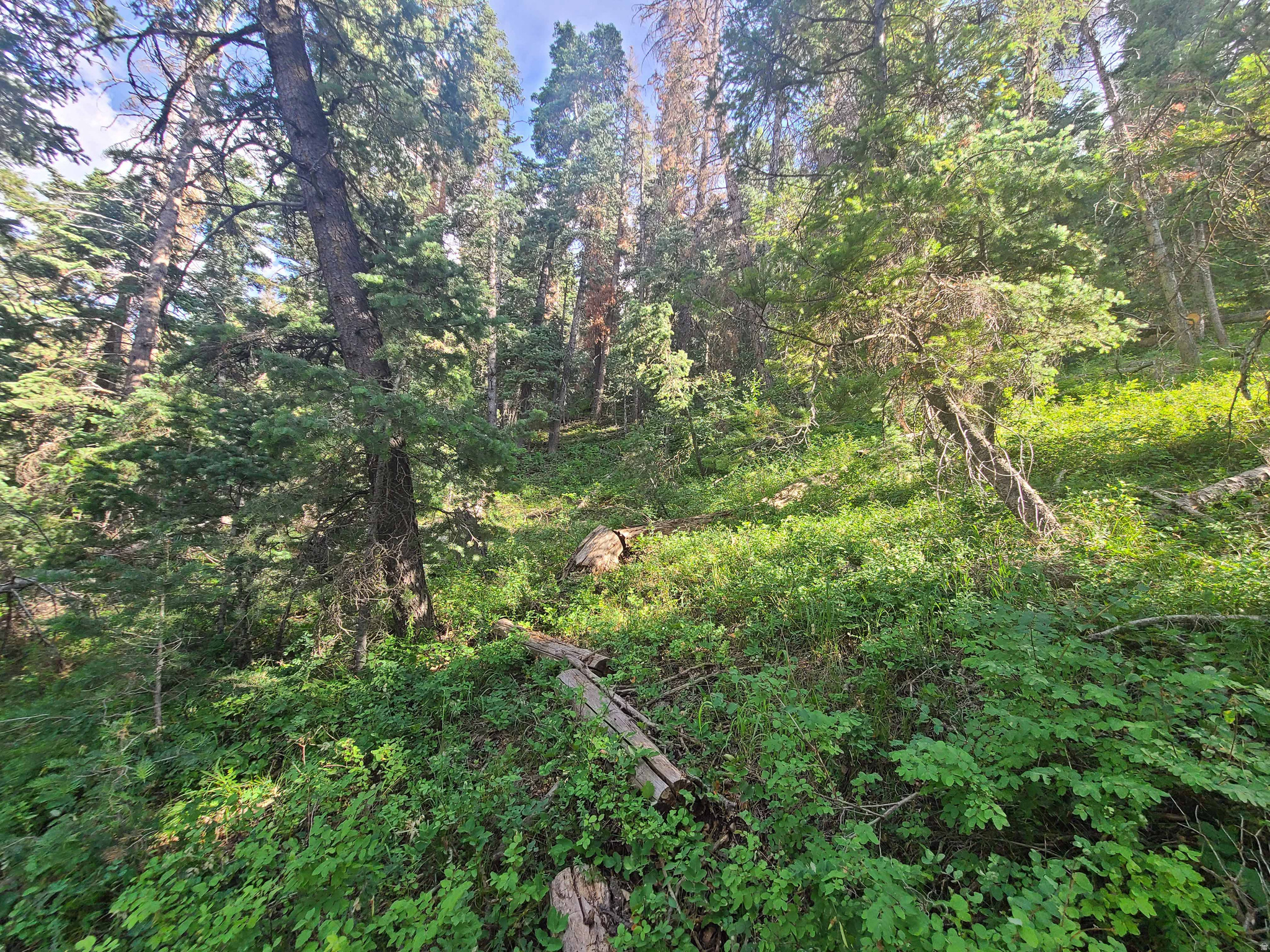 PINE CREEK ACRES - Land