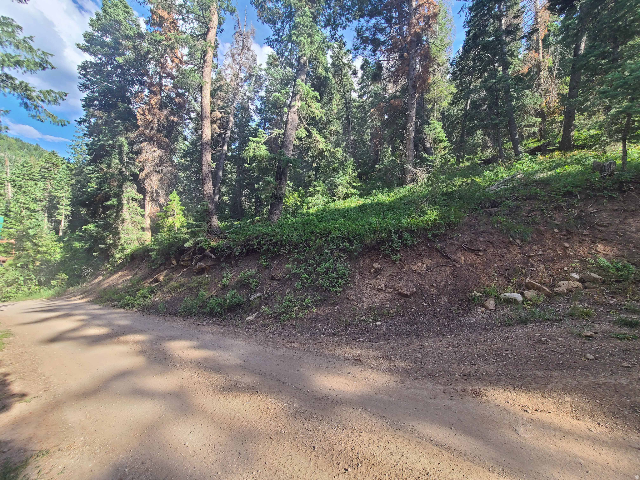 PINE CREEK ACRES - Land