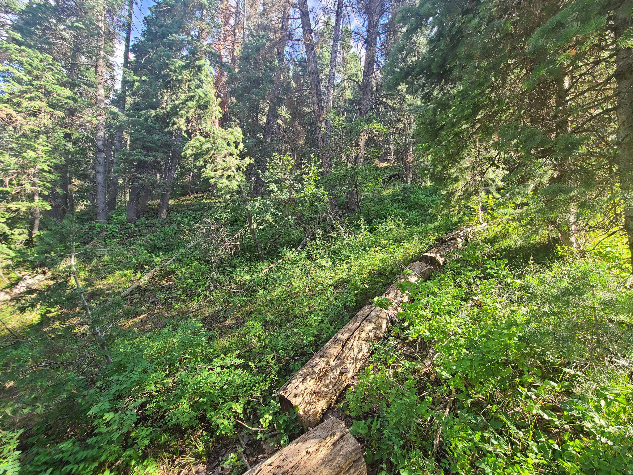 PINE CREEK ACRES - Land