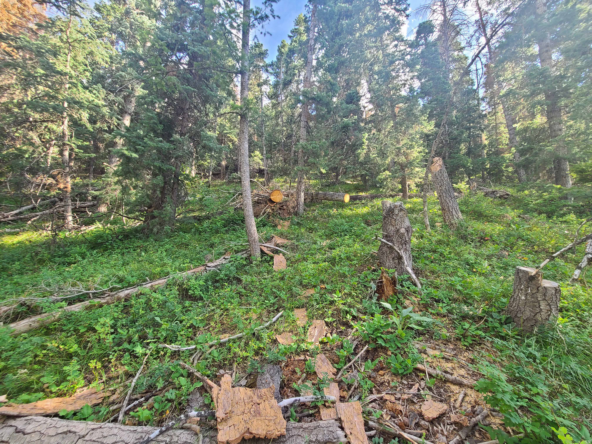 PINE CREEK ACRES - Land