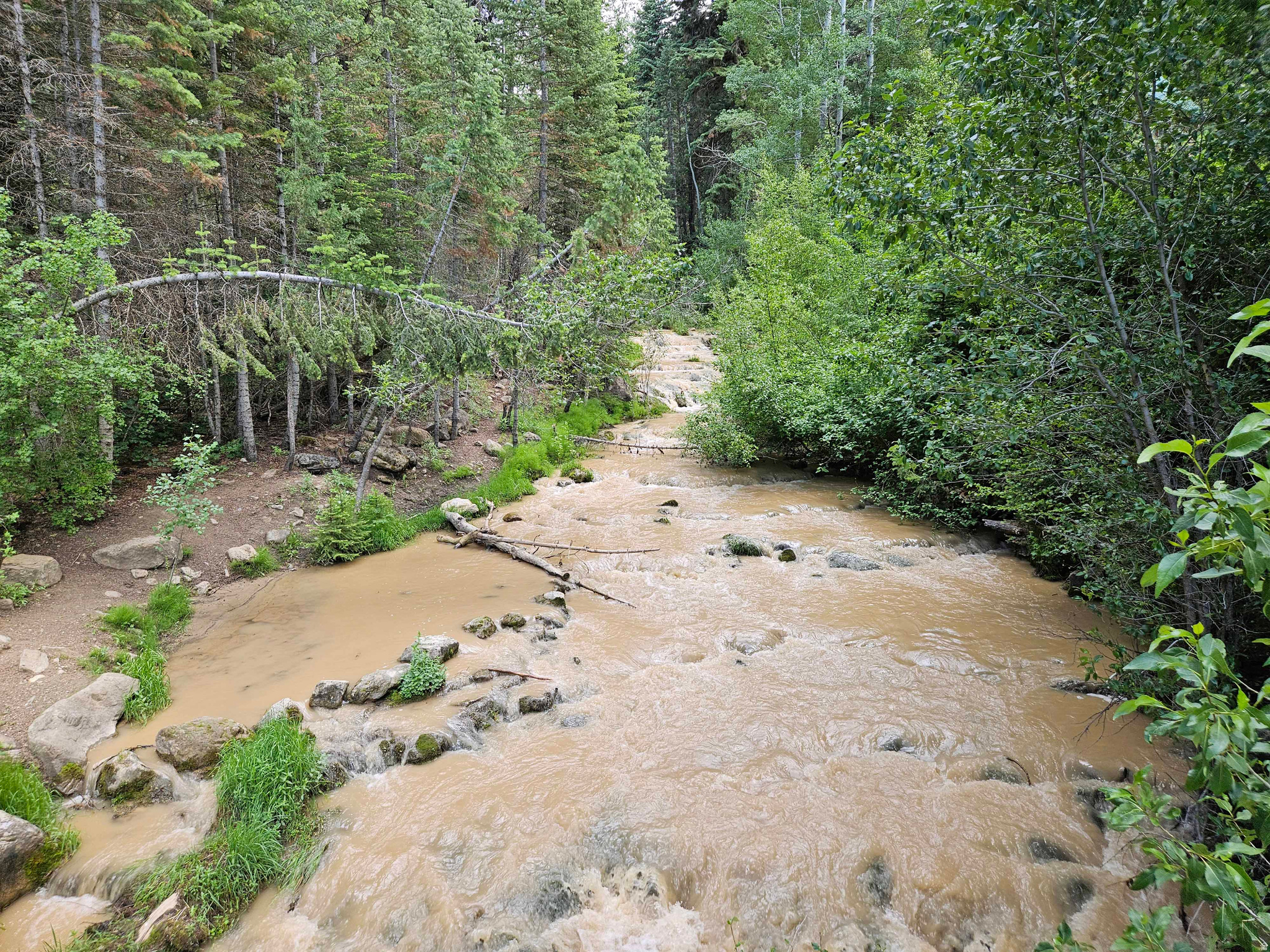 PINE CREEK ACRES - Land