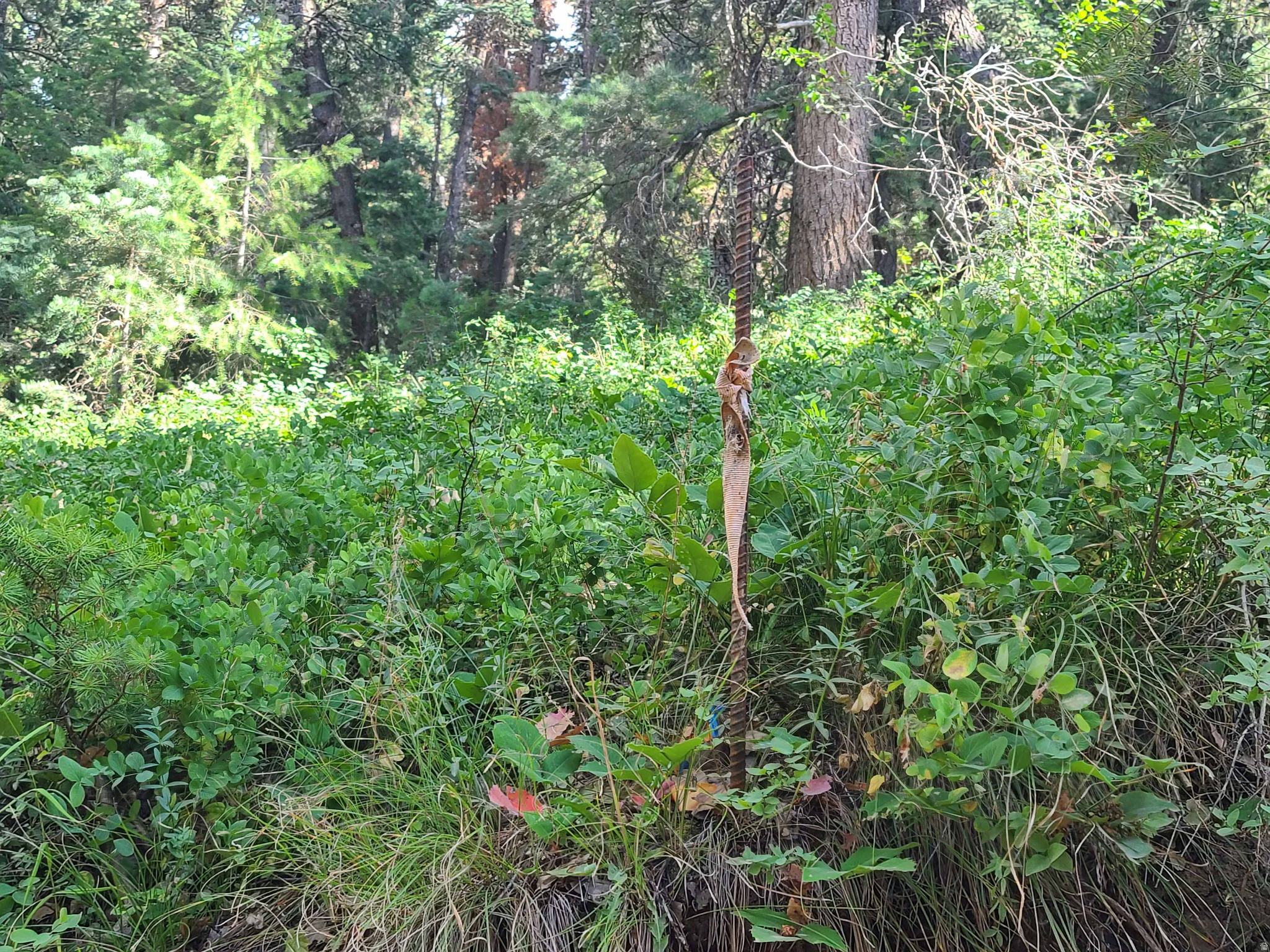 PINE CREEK ACRES - Land