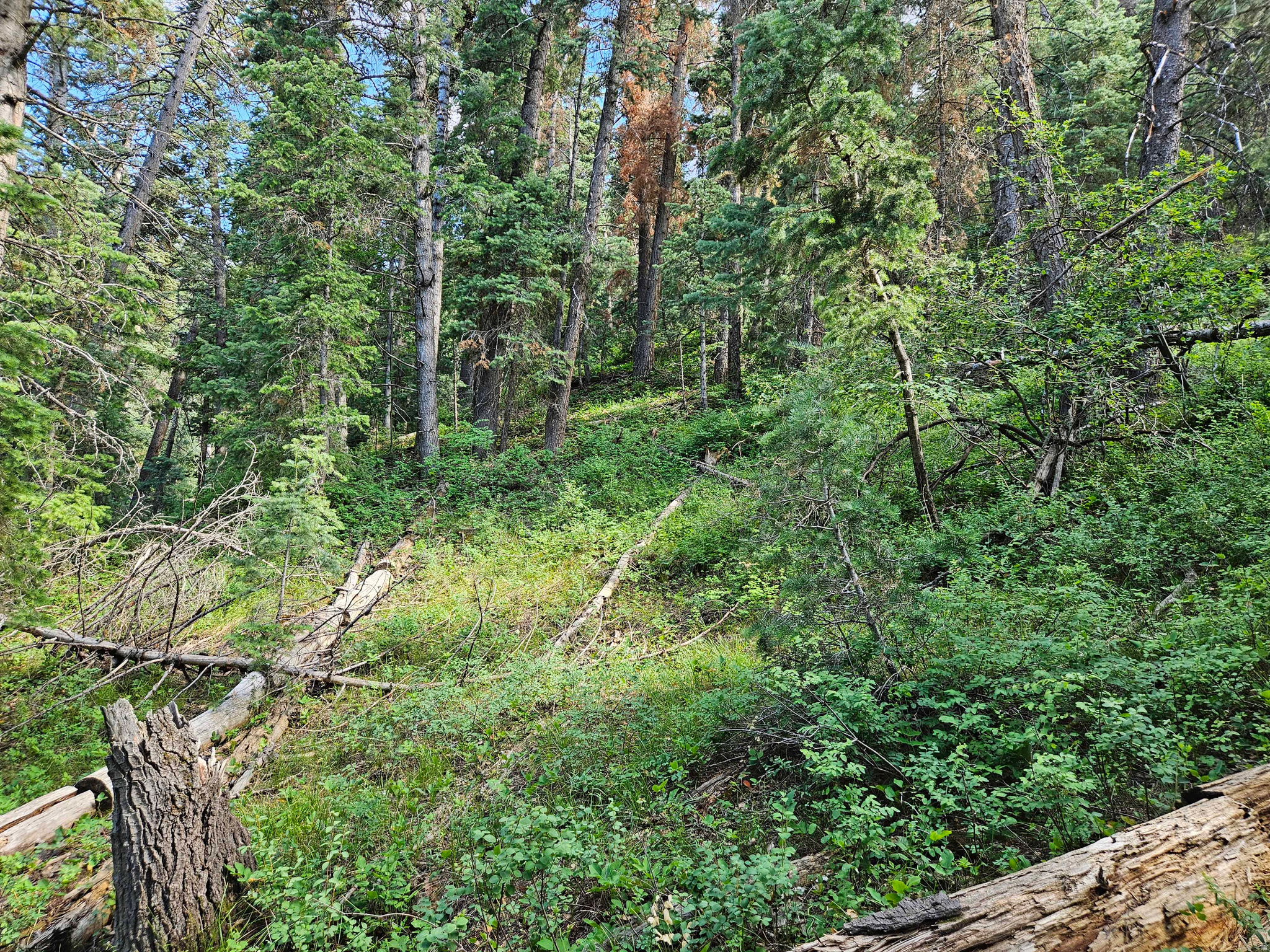 PINE CREEK ACRES - Land