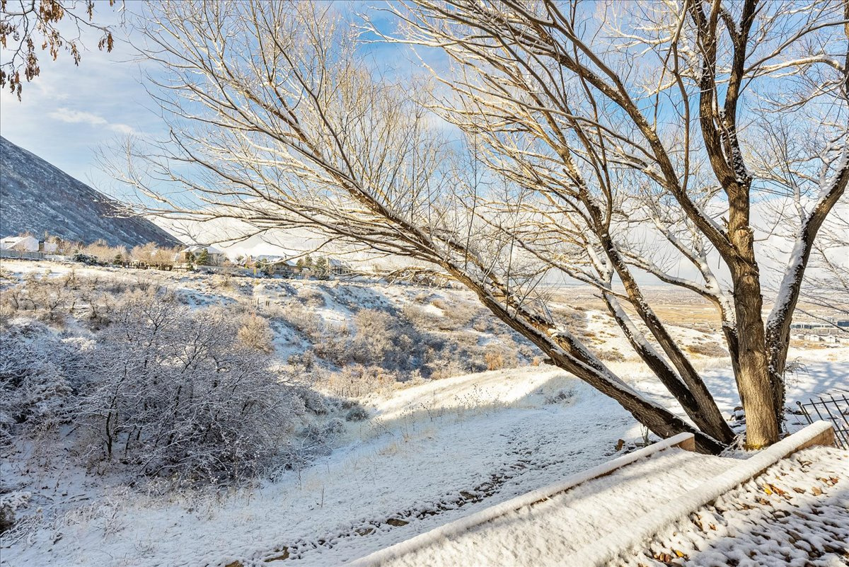 MONTANA VIEW - Residential