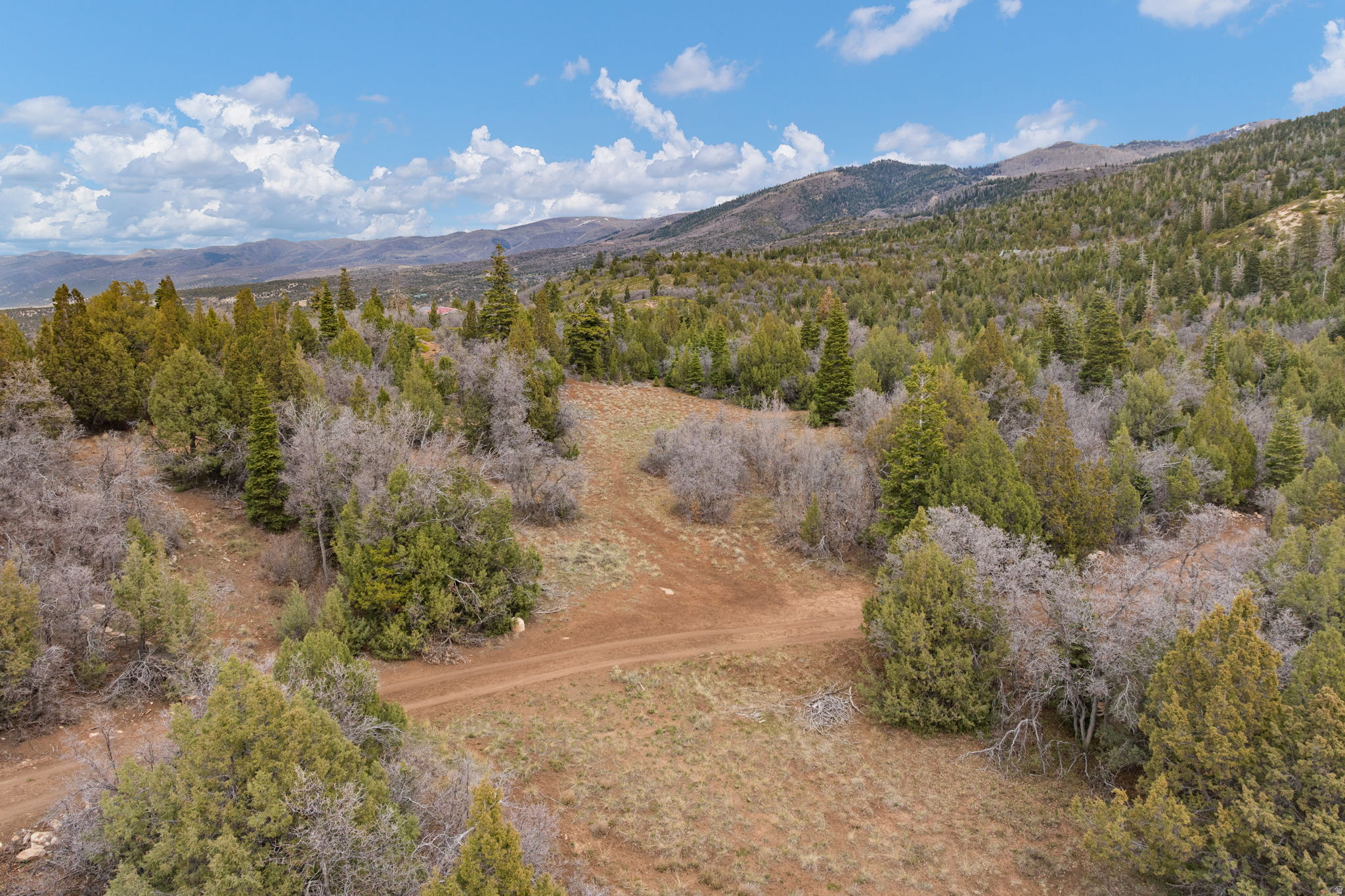 SPRING CITY RANCHERO - Land