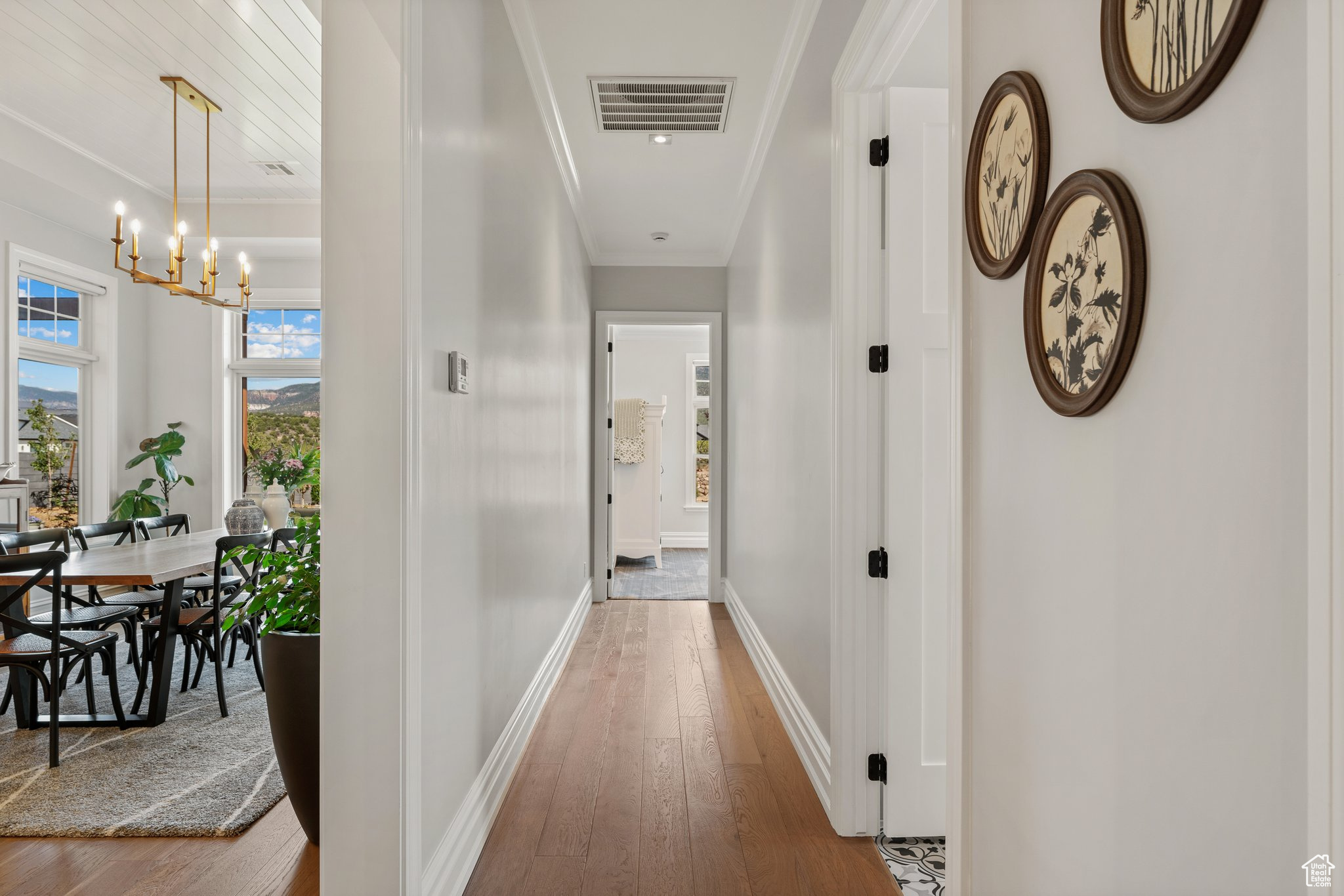 SADDLEBACK RIDGE - Residential
