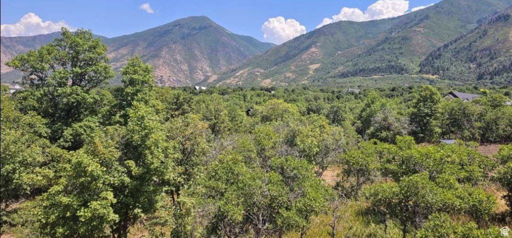 Photo for 730 S SUMMIT DR #168, Woodland Hills, UT 84653 (MLS # 2092233)