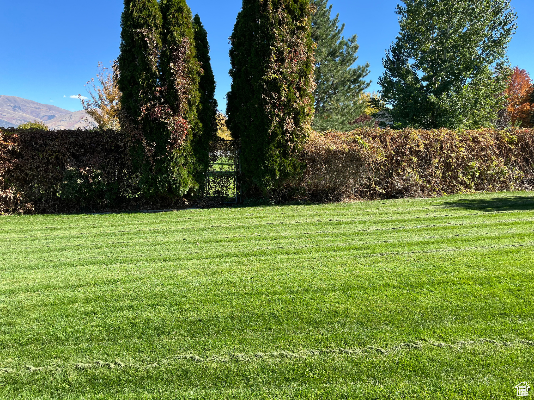 HIGH VALLEY - Residential