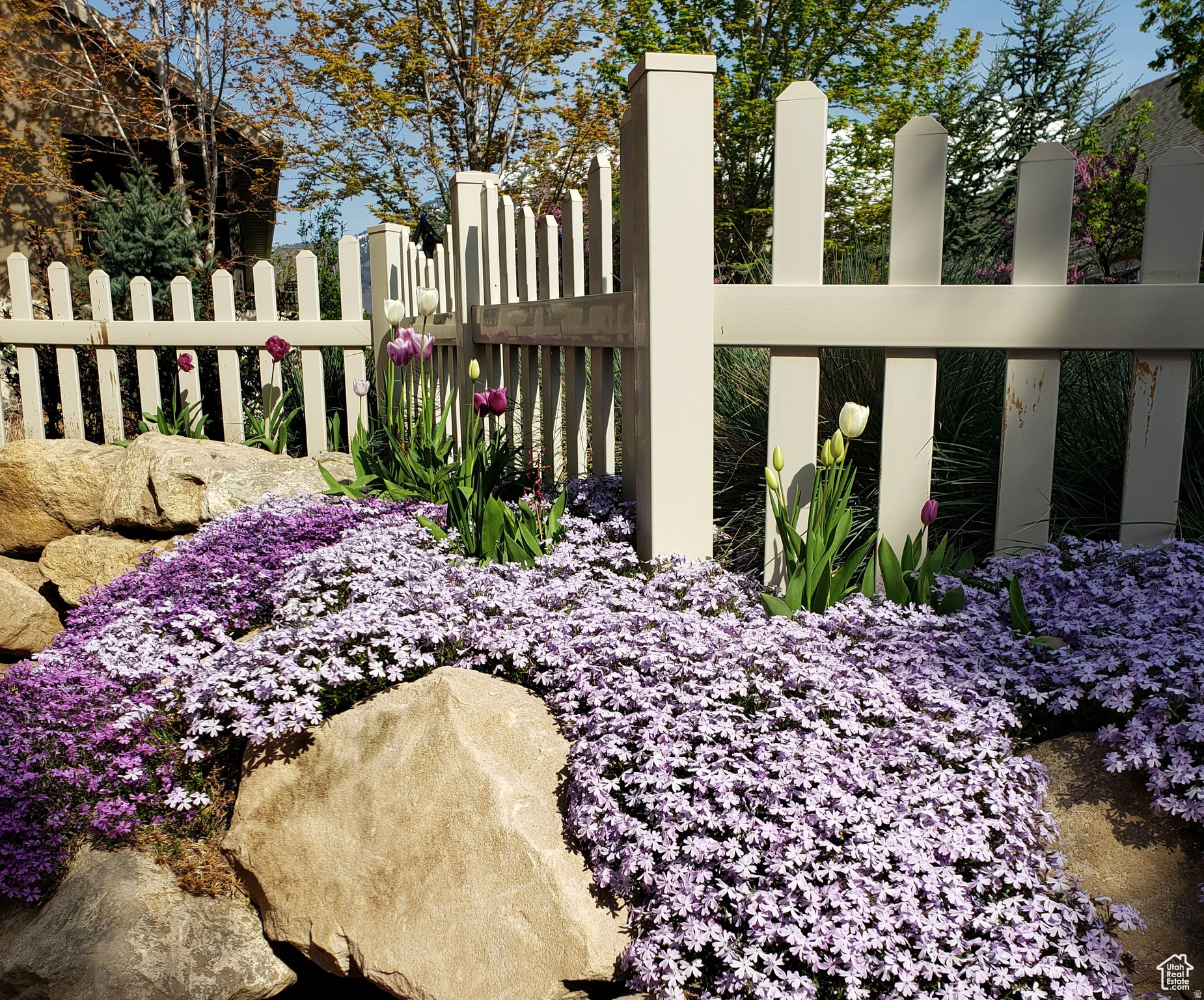 HARVEST PARK - Residential