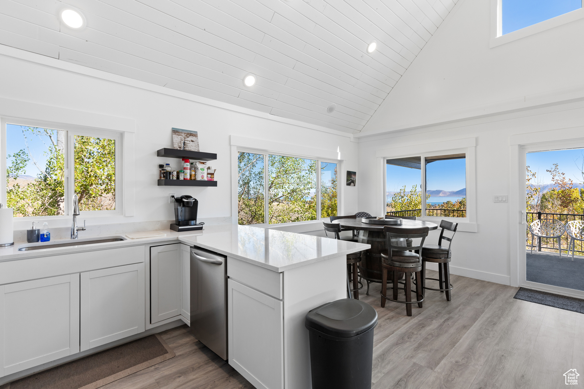 OMEGA SUB - Residential