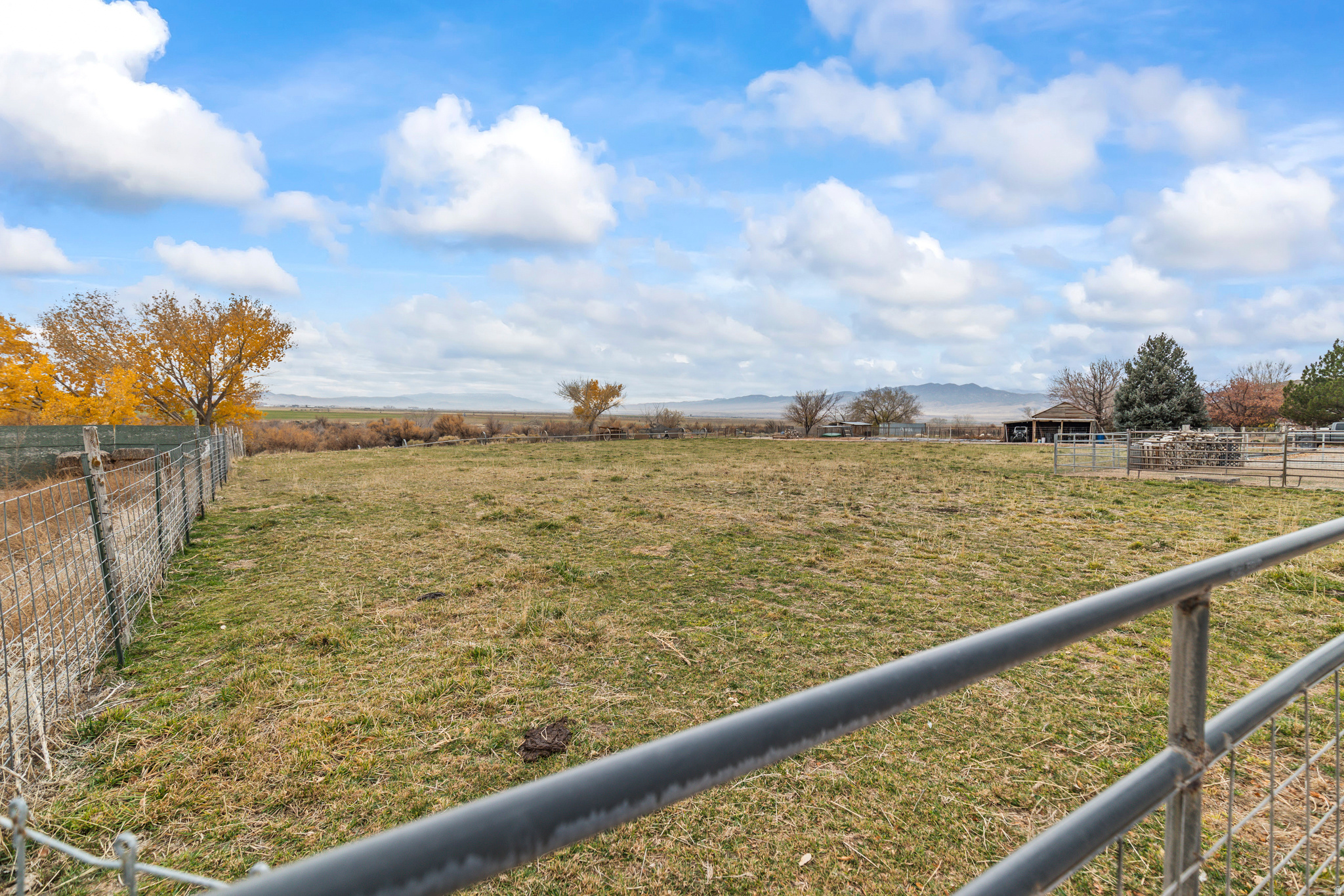 YOUNG PROPERTY - Residential