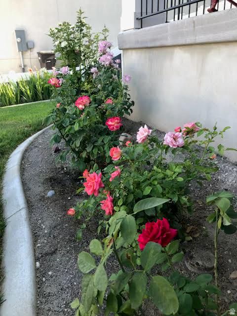 Tiny photo for 1798 S 730 W, Provo, UT 84601 (MLS # 2150495)