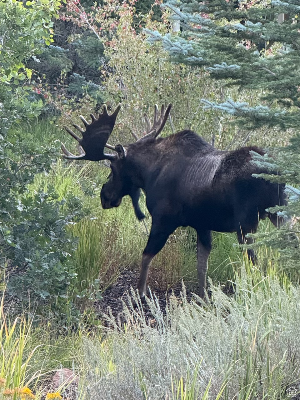 CEDAR RIDGE AT QUARRY JUNCTION - Residential