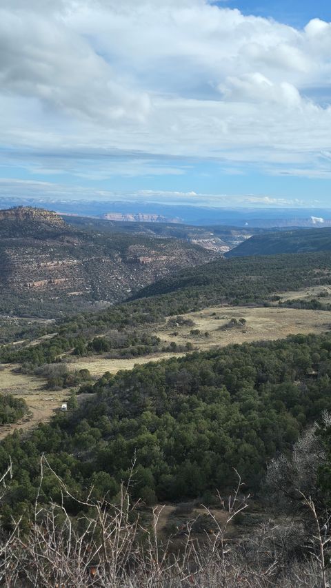 Tiny photo for 95 S WRAY MESA RD #10, La Sal, UT 84530 (MLS # 2124092)