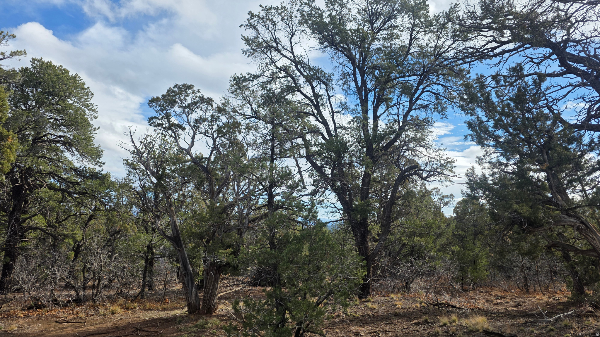 WOODLANDS AT LA SAL SUBDIVISION - Land