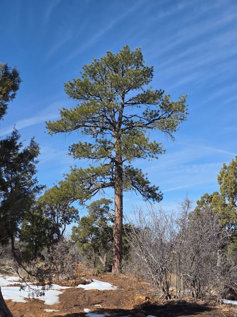 Tiny photo for 95 S WRAY MESA RD #10, La Sal, UT 84530 (MLS # 2124092)