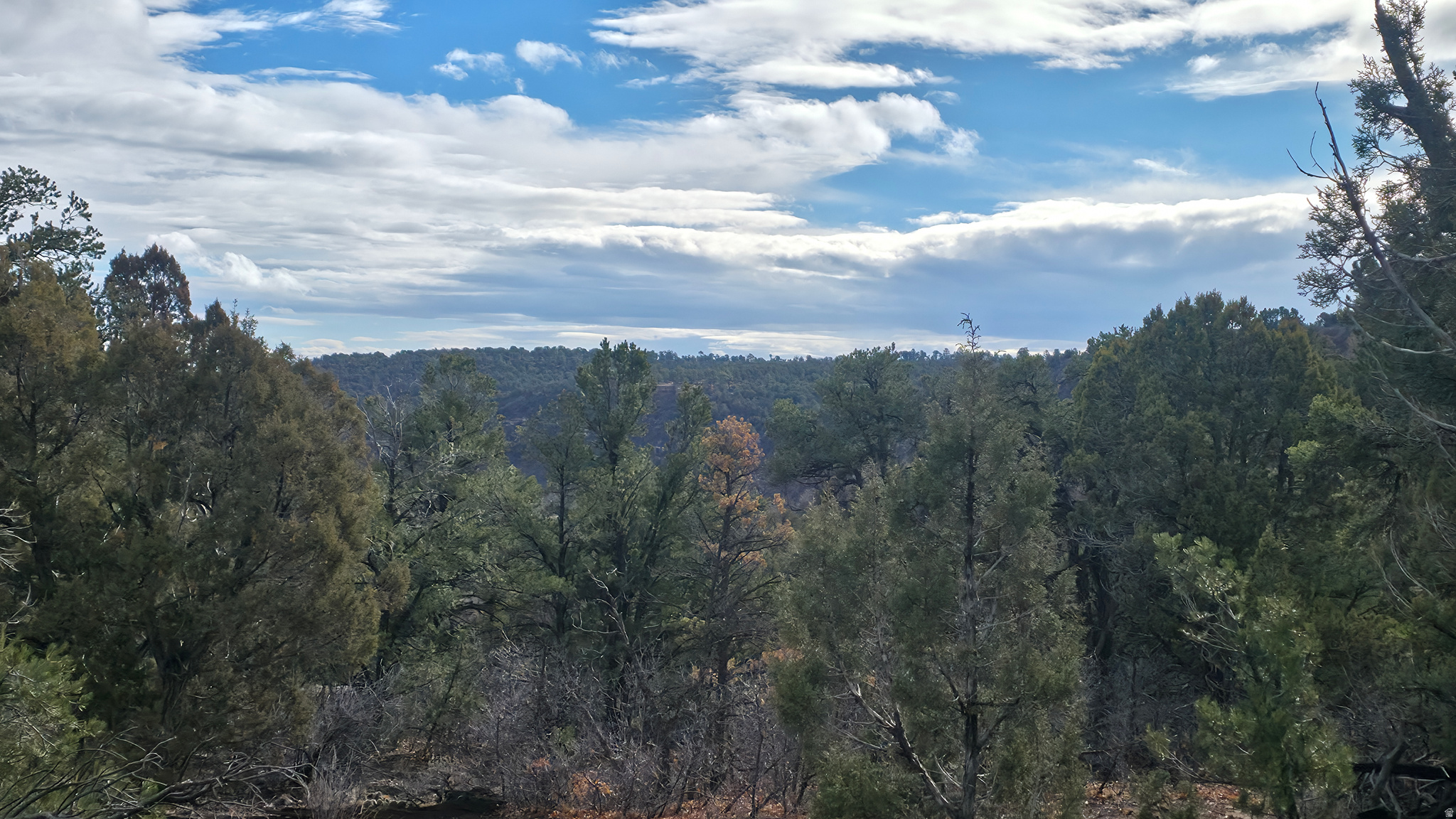 WOODLANDS AT LA SAL SUBDIVISION - Land