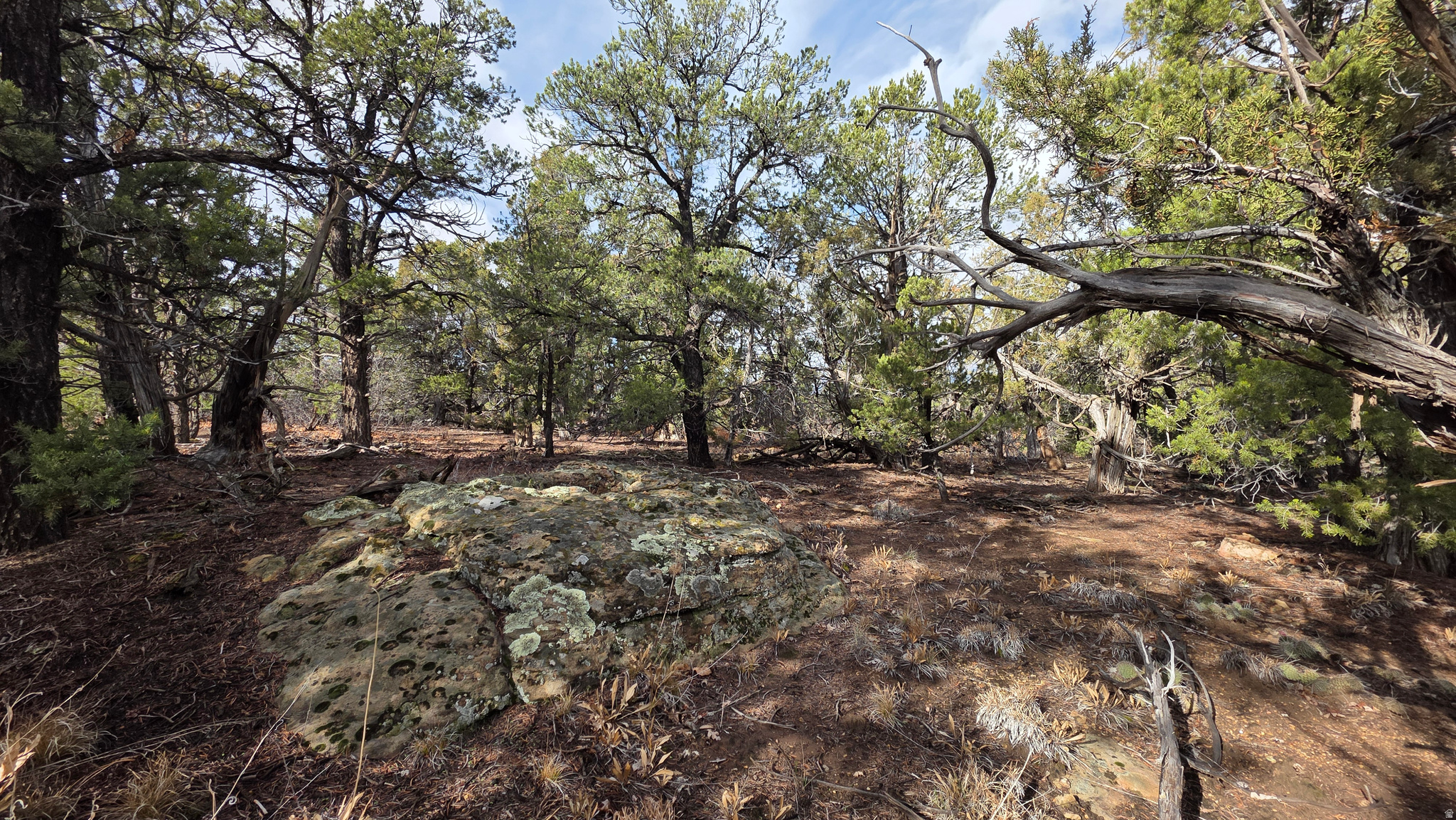 WOODLANDS AT LA SAL SUBDIVISION - Land
