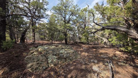 Tiny photo for 95 S WRAY MESA RD #10, La Sal, UT 84530 (MLS # 2124092)