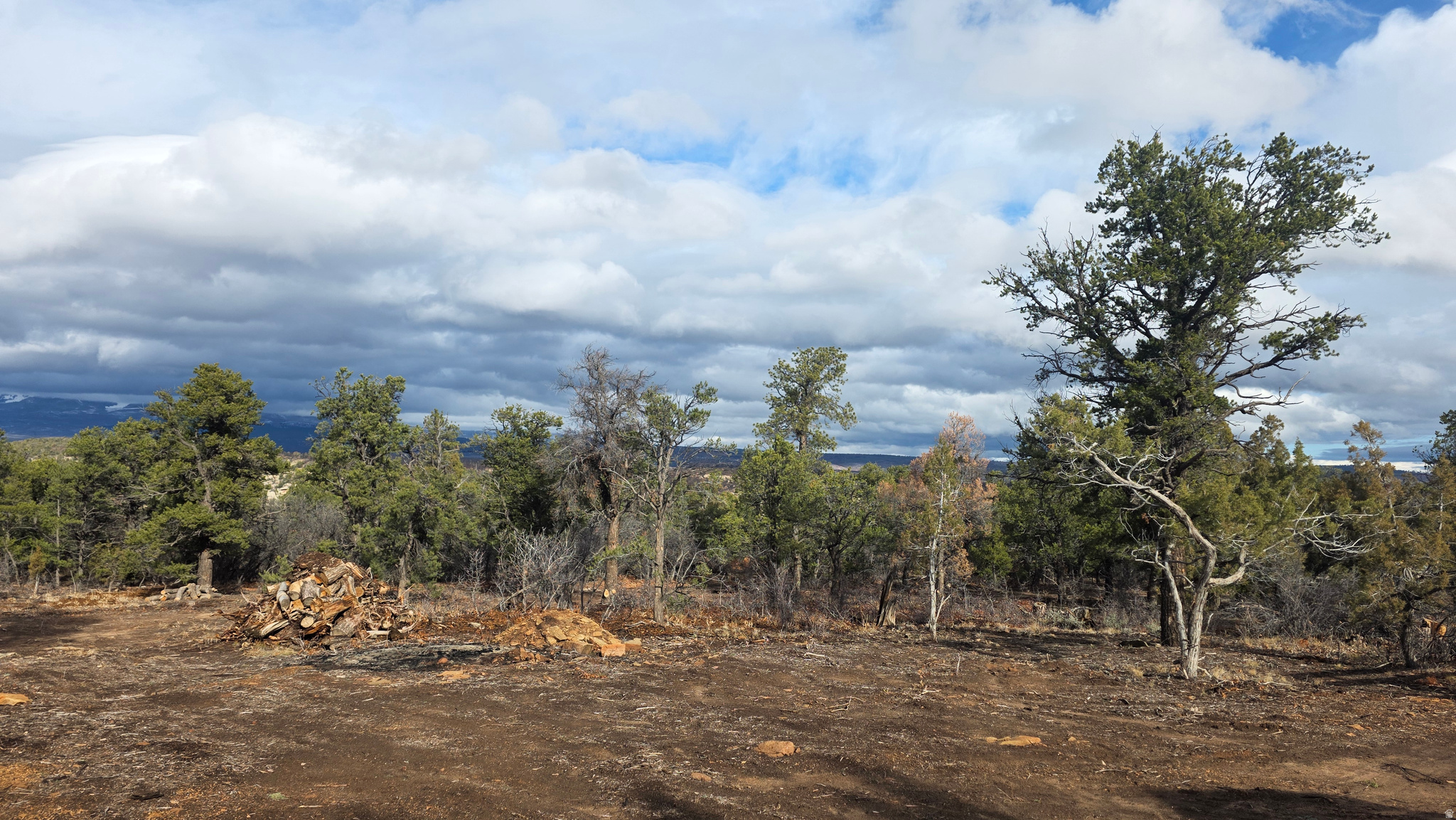 WOODLANDS AT LA SAL SUBDIVISION - Land