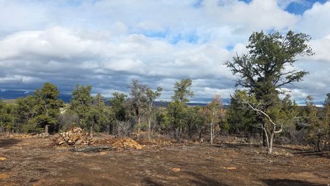 Tiny photo for 95 S WRAY MESA RD #10, La Sal, UT 84530 (MLS # 2124092)