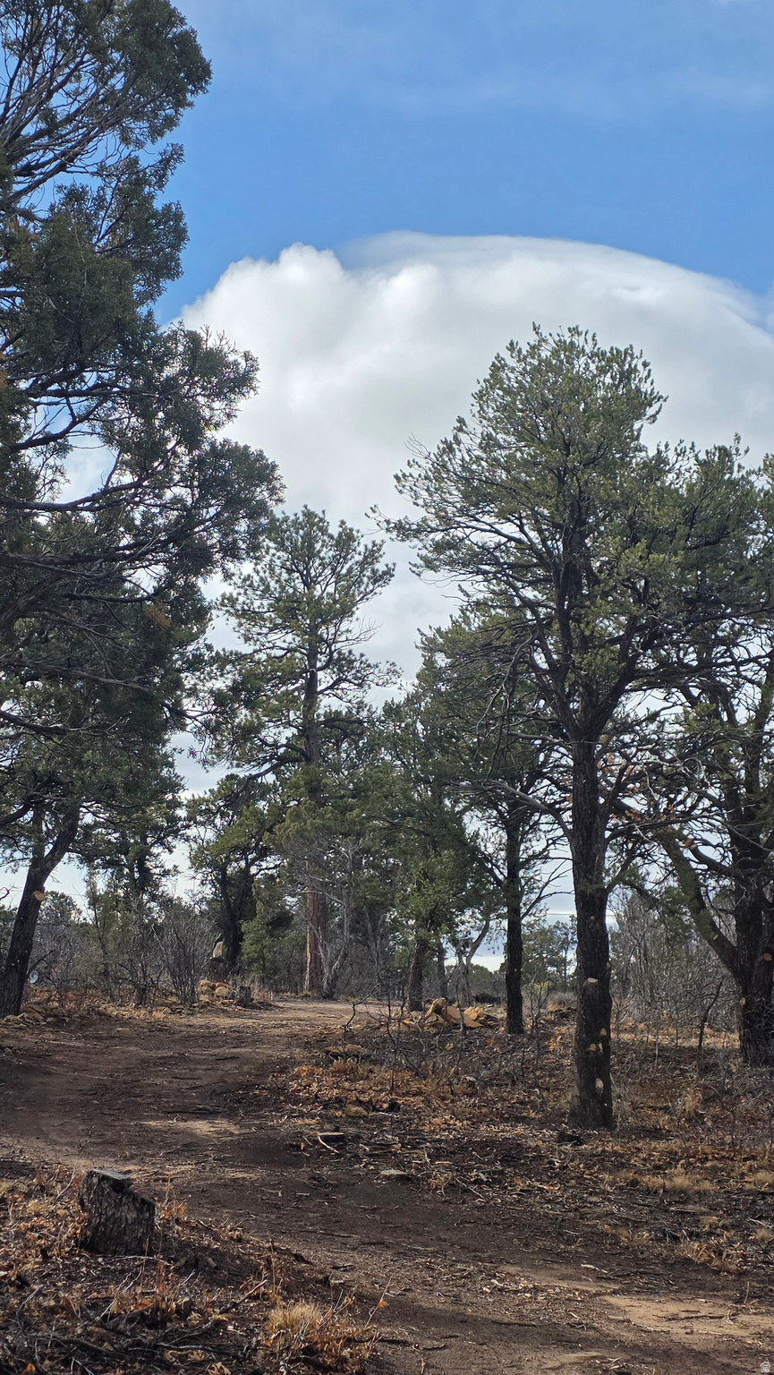 WOODLANDS AT LA SAL SUBDIVISION - Land