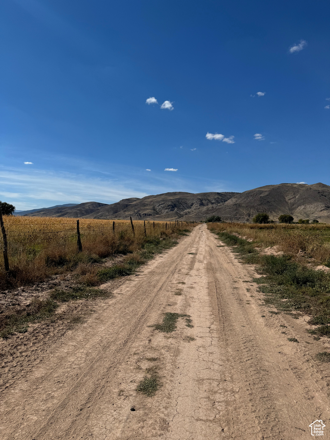 1400 E 800, Elsinore, Utah image 9