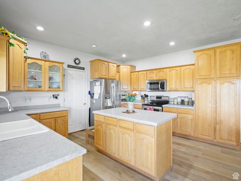 Tiny photo for 1010 S ANNA EKINS MEMORIAL LN, Genola, UT 84655 (MLS # 2119443)
