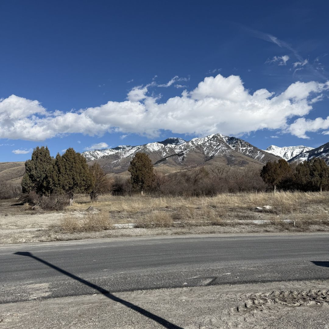 THE KNOLLS IN RICHMOND - Land