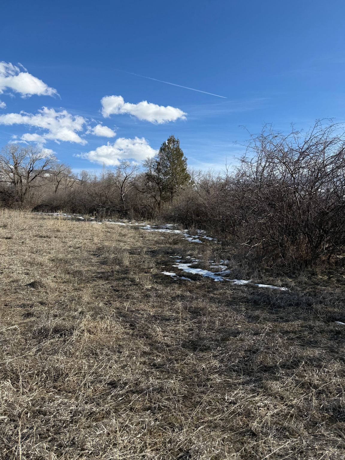 THE KNOLLS IN RICHMOND - Land