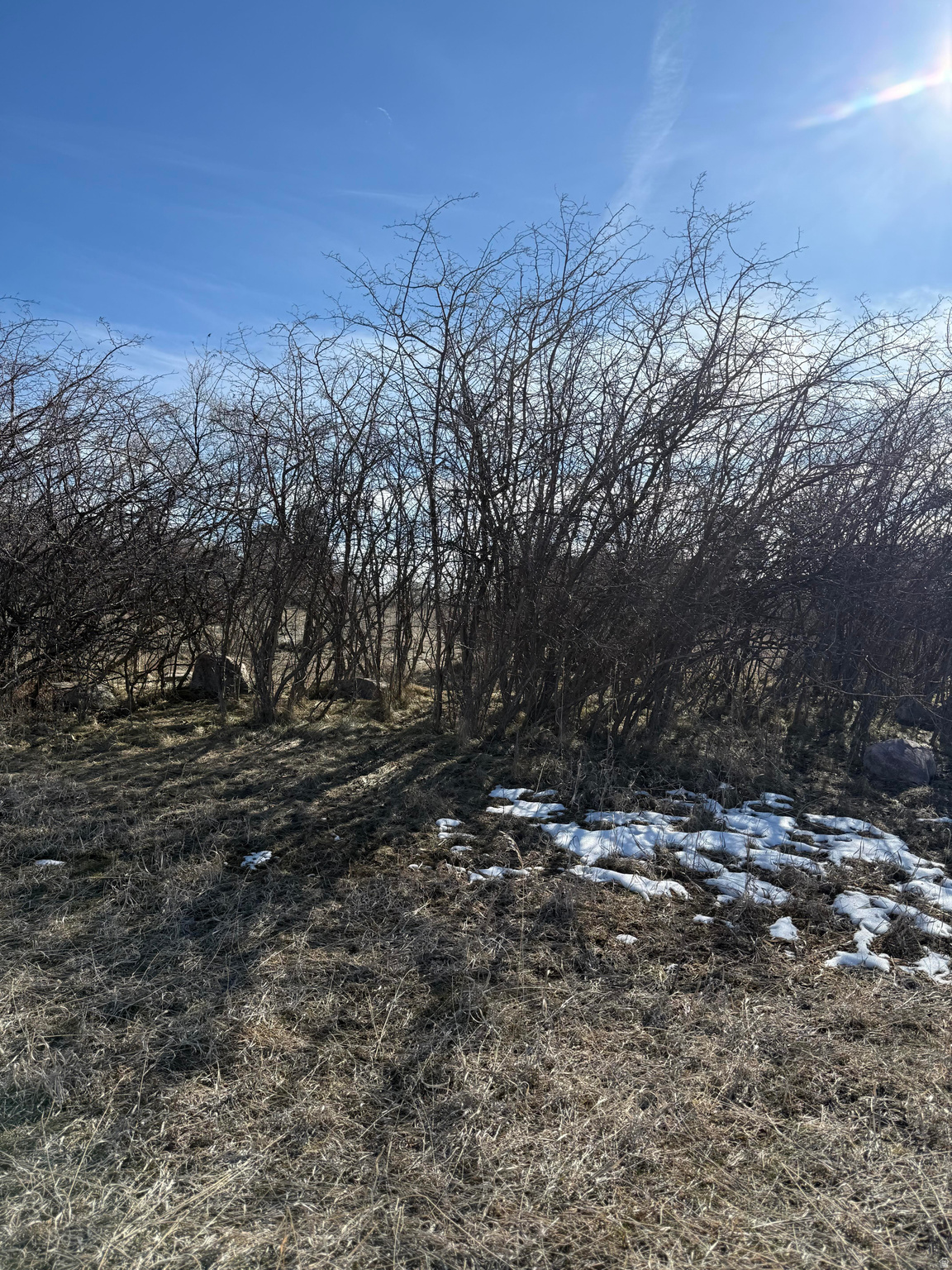 THE KNOLLS IN RICHMOND - Land