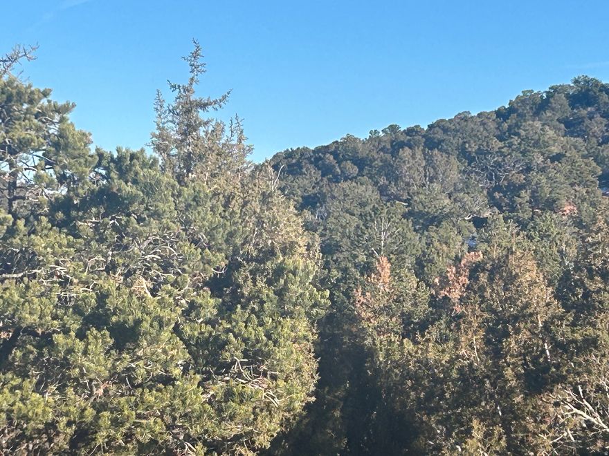 Beautiful 1.57 acre parcel located in the Robber's Roost Subdivision in Fruitland, Utah. This property offers a fantastic opportunity to build a cabin or full-time home, or simply enjoy it as a recreational getaway. Power is located in the area, adding convenience for future development. Ideally situated near both Strawberry Reservoir and Starvation Reservoir, this lot provides easy access to fishing, boating, ATV riding, hiking, hunting, and year-round outdoor recreation. Enjoy mountain surroundings, fresh air, and plenty of space to relax and explore. Whether you're looking for a peaceful retreat, a future homesite, or a recreational base camp, this property offers endless potential in a highly desirable area.