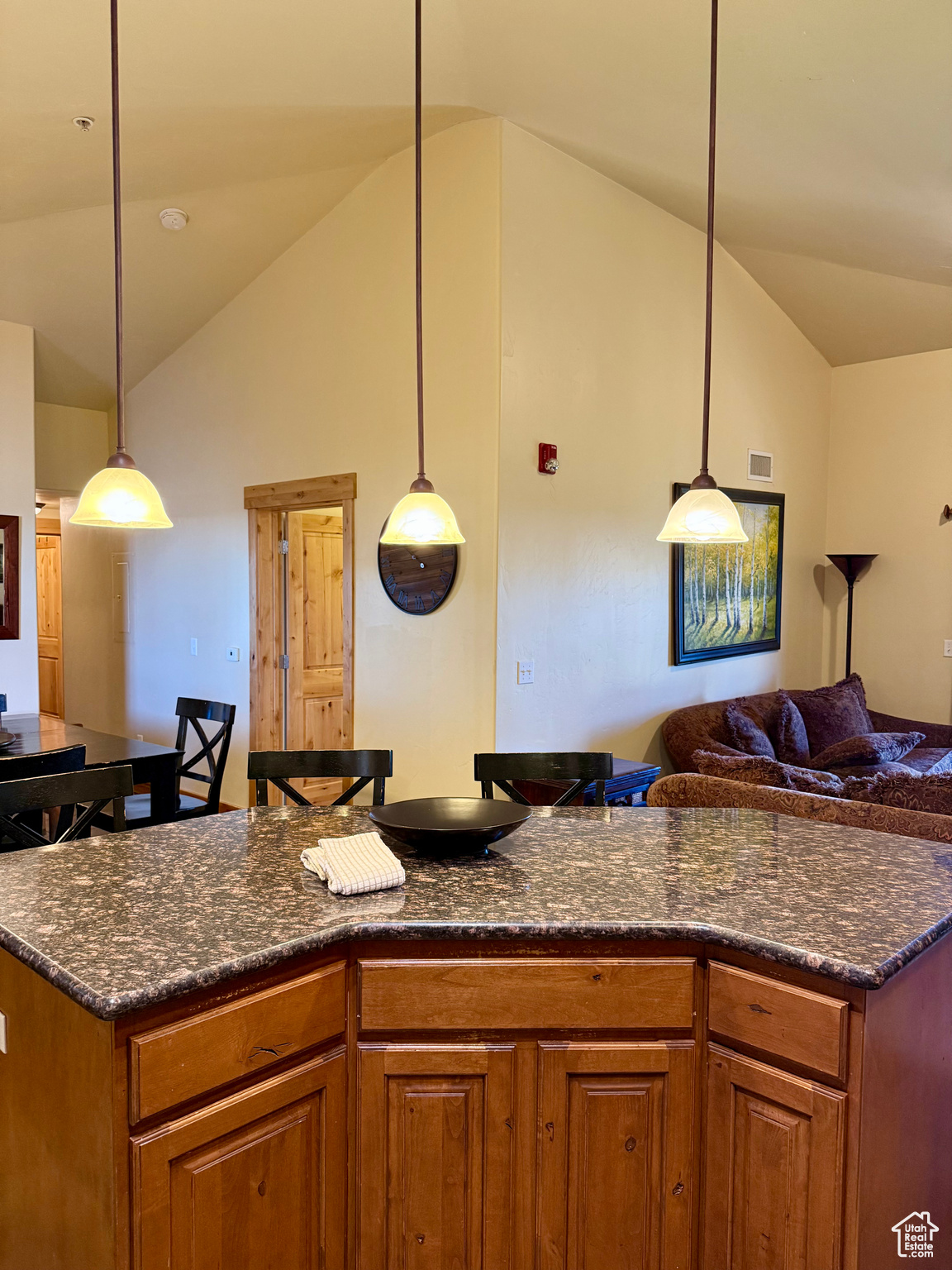 LODGES BEAR HOLLOW - Residential