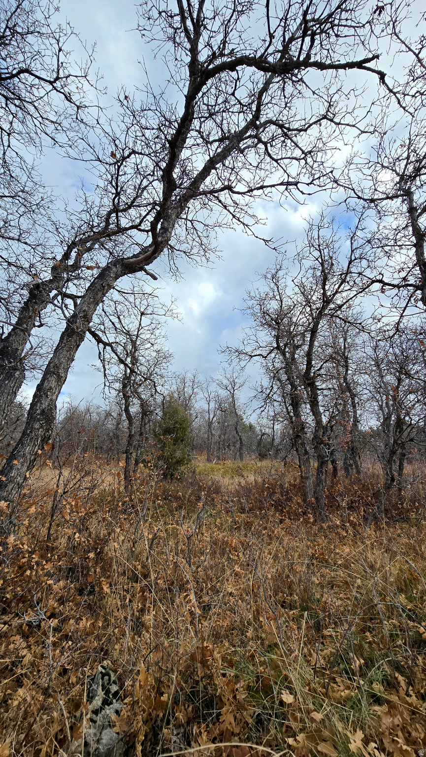 WHISPERING PINES PHASE 3 SECTION A - Land