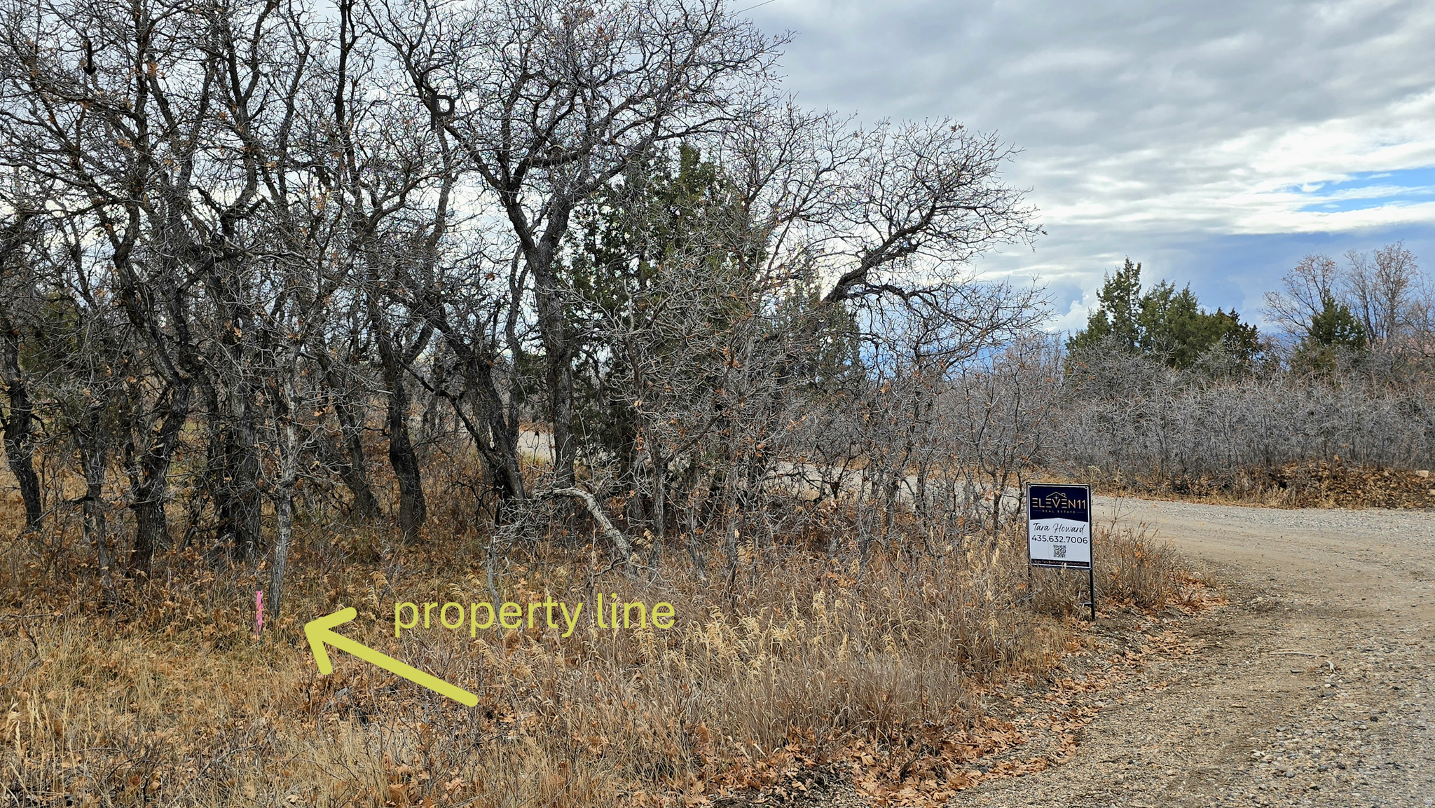 WHISPERING PINES PHASE 3 SECTION A - Land