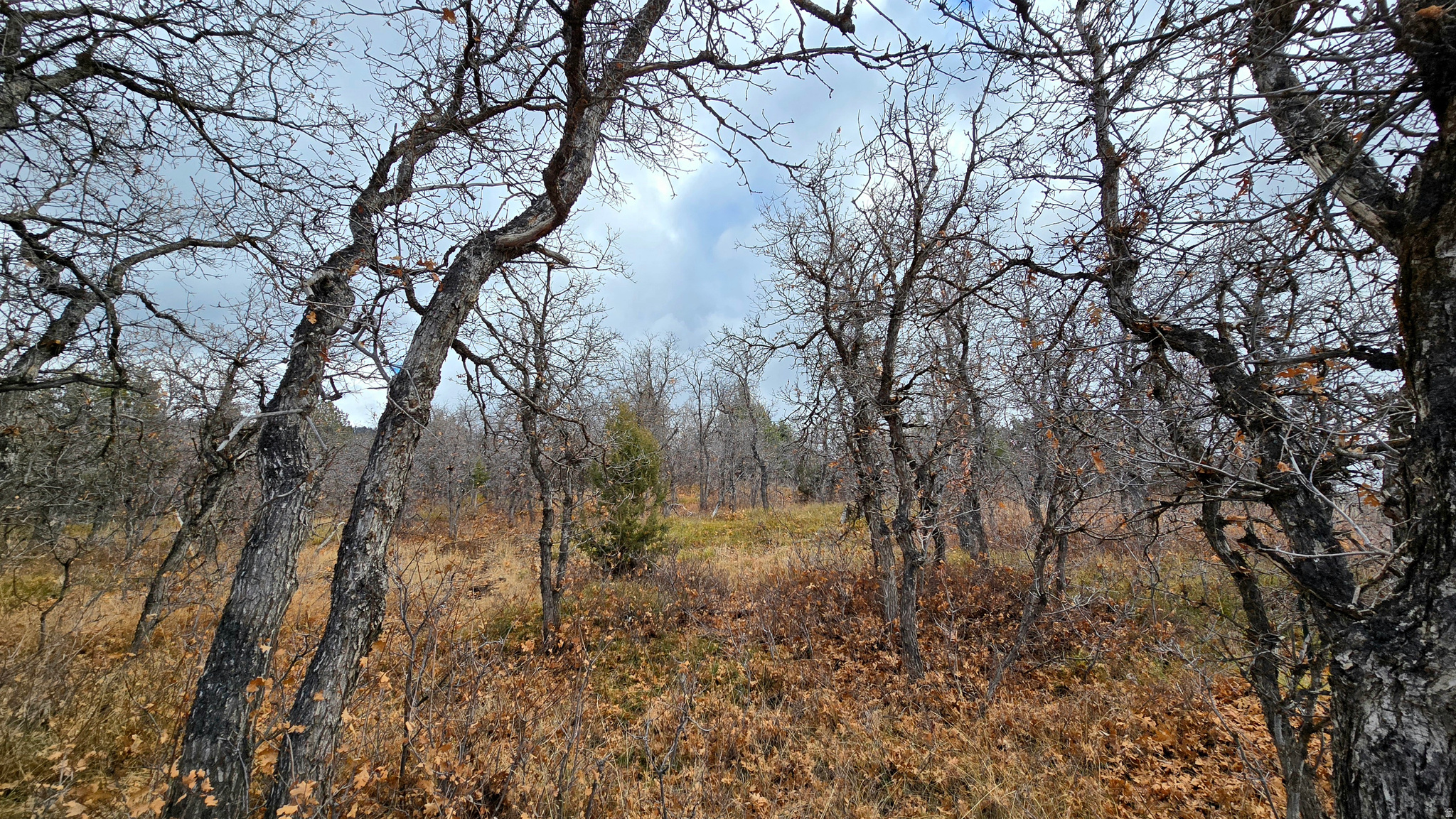 WHISPERING PINES PHASE 3 SECTION A - Land