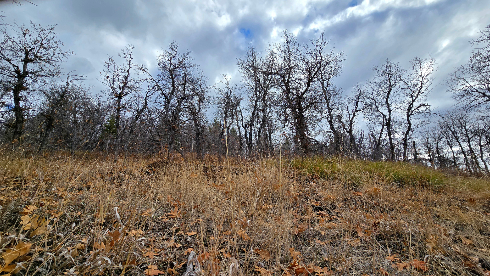 WHISPERING PINES PHASE 3 SECTION A - Land