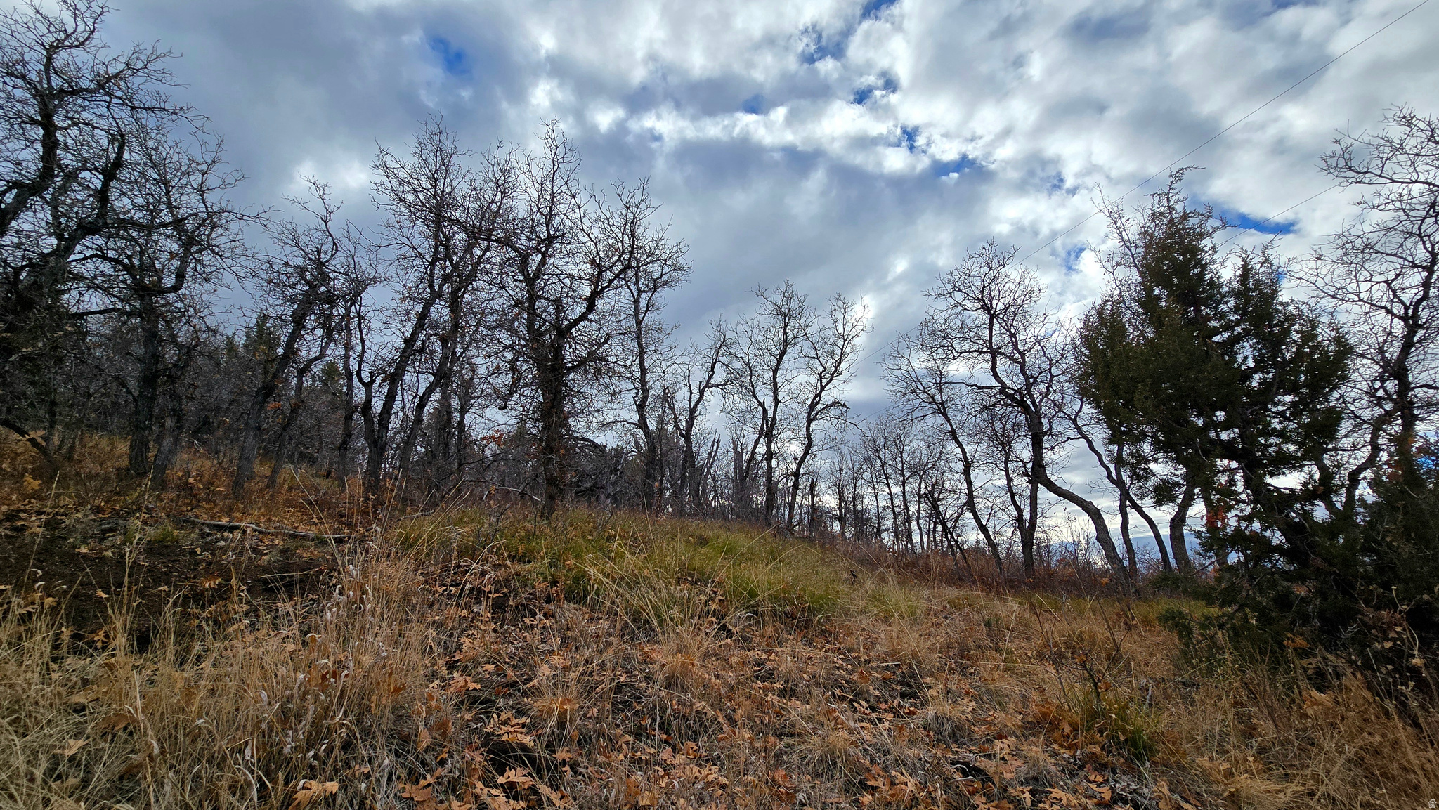 WHISPERING PINES PHASE 3 SECTION A - Land