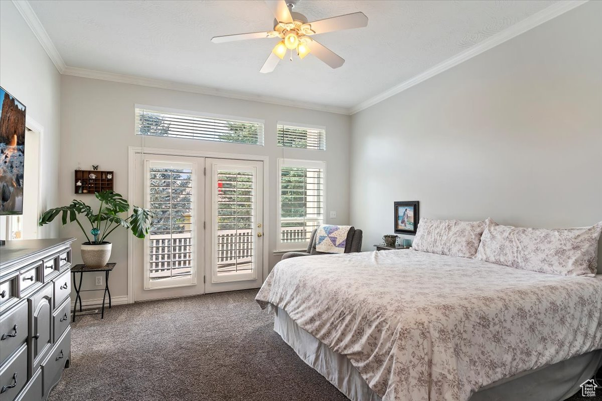 TRAPPER'S POINTE - Residential