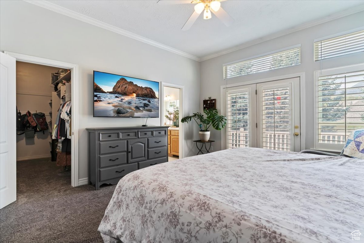 TRAPPER'S POINTE - Residential