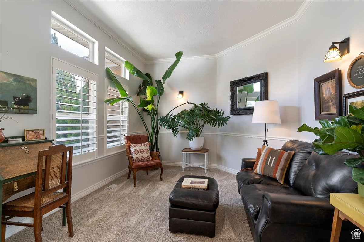 TRAPPER'S POINTE - Residential