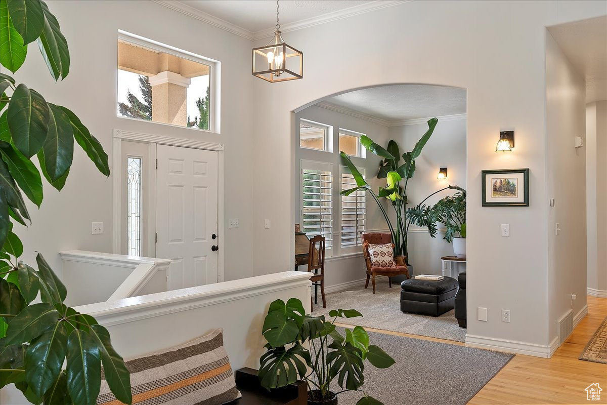 TRAPPER'S POINTE - Residential