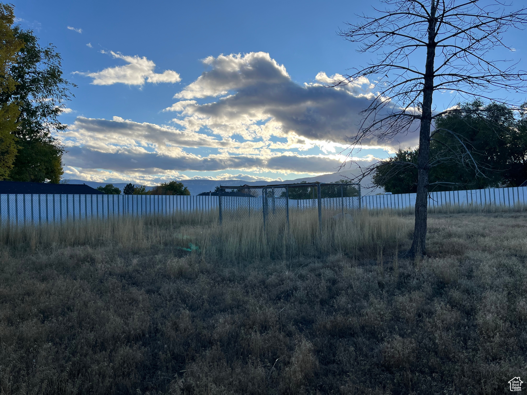 DAILEY MINOR - Residential