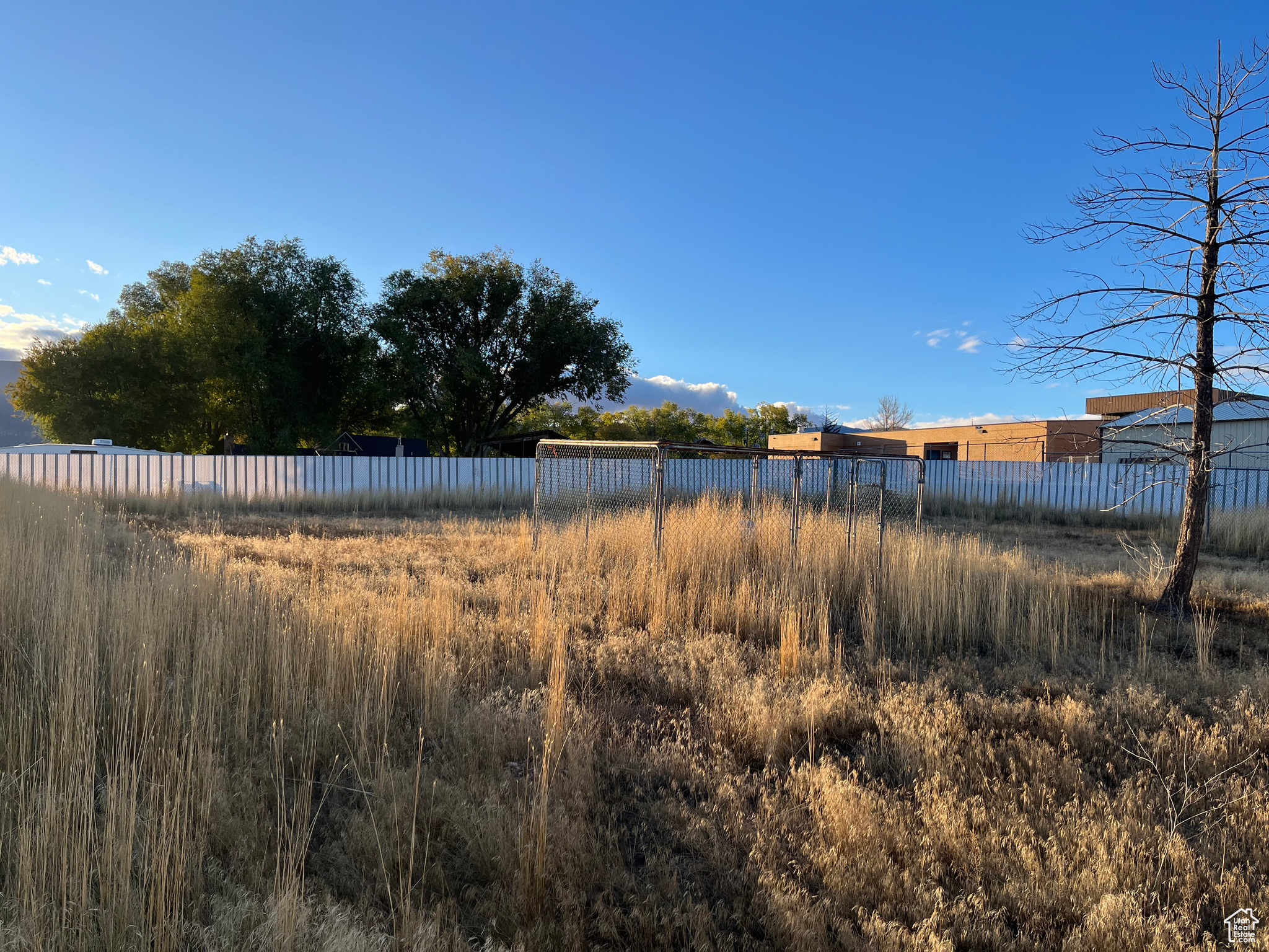 DAILEY MINOR - Residential