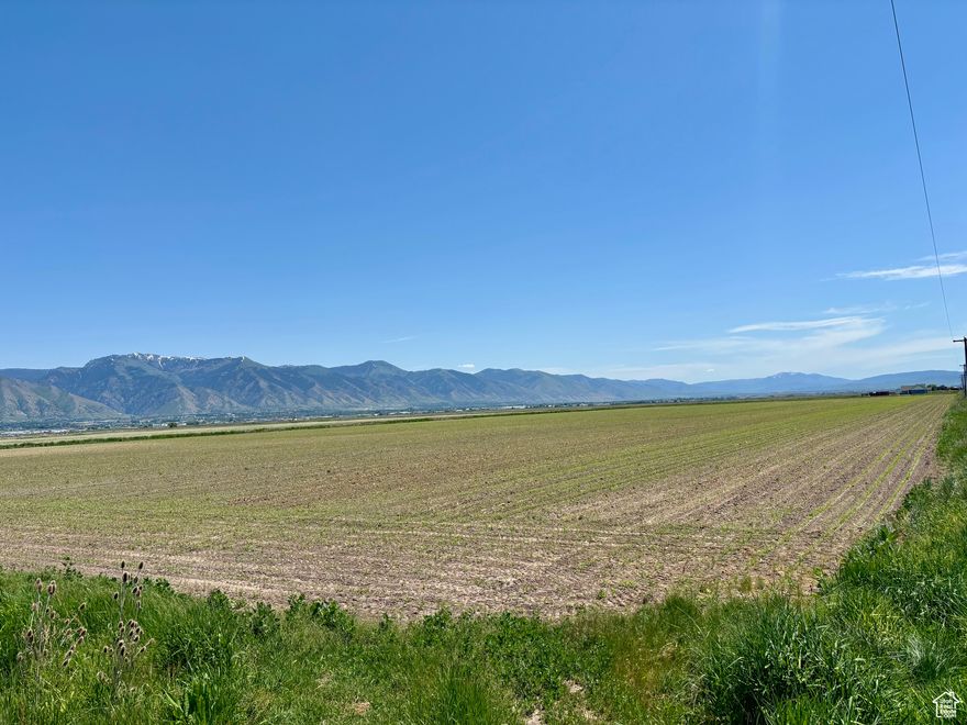 This prime piece of land is located right next door to Darrel's Appliance Store.   It would be a perfect piece for commercial or industrial (rezone) and put some storage units or commercial building here.  Call for more information and to get started with some prime real estate land.